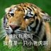 最笨@勇敢做自己 (@terriblyhornysb) Twitter profile photo 最笨@勇敢做自己 (@terriblyhornysb) Twitter profile photo
