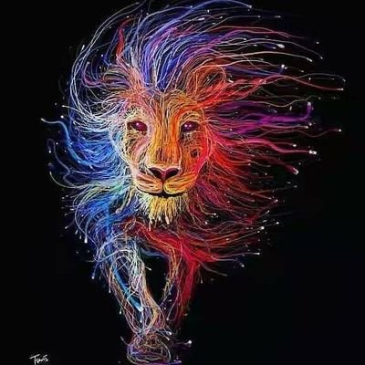 belaciao27's profile picture. 