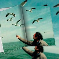 Zafer yilmaz (@zyimaz) Twitter profile photo
