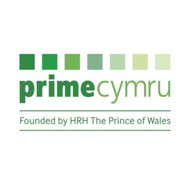 Founded by HM The King. Support with business, employment, training and volunteering for the over 50s