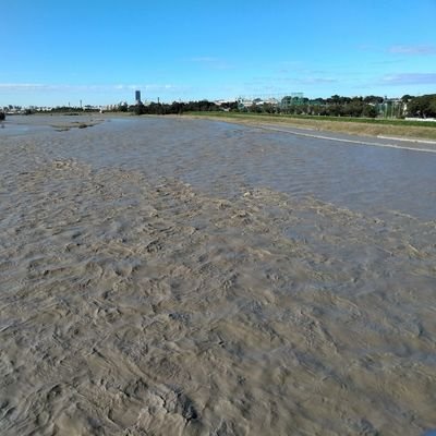 Door01056042's profile picture. 