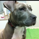 Bert Fitzgerald - @13f1reman - Twitter