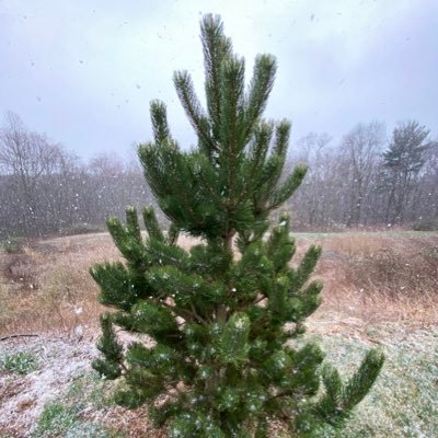 Lezon's profile picture. i apologize in advance