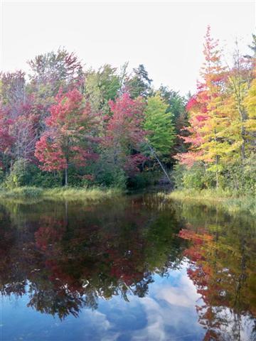 ebayrebmar's profile picture. Hello-I'm Reb , from Northern Michigan, Im a starving artist, i paint michigan barns and animals. Love antiques and collectables,I sell on ebay ...Bonanza...