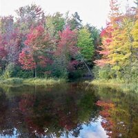 reb cottys (@ebayrebmar) 's Twitter Profile Photo