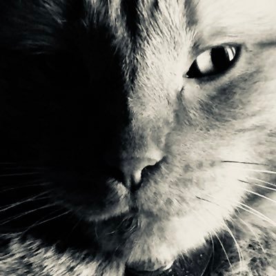 mlukosavich's profile picture. 