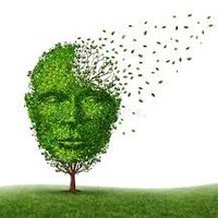 Alzheimersbumpyroad (@alzheimersad) 's Twitter Profile Photo Alzheimersbumpyroad (@alzheimersad) 's Twitter Profile Photo