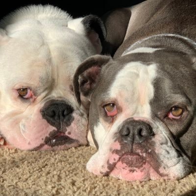 B__J__N's profile picture. PR Professional and general observer of life's nuances. My posts do not represent the views of clients or organizations with whom I might be involved.