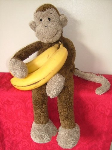 i lost my email / password to my 1st account Monkey Kindness so i have just set up this 2nd replacement profile (as i can never get on my 1st one again)