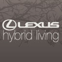 Aspire to a sustainable lifestyle through Lexus Hybrid Living, offering eco luxury indulgences you desire.