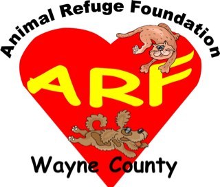 DebraSmiley's profile picture. 