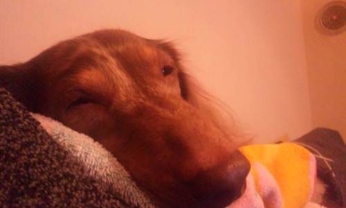 tenka_btc's profile picture. 2017年4月仮想通貨参入。BTCガチホの億り人