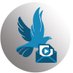 passed-on (@passedon_uk) Twitter profile photo passed-on (@passedon_uk) Twitter profile photo
