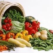 #fresh_vegetables #fresh_vegetables_delivery #fresh_vegetables_near_me #fresh_vegetables_delivered #fresh_vegetables_and_fruits #fresh_vegetables_vs_frozen