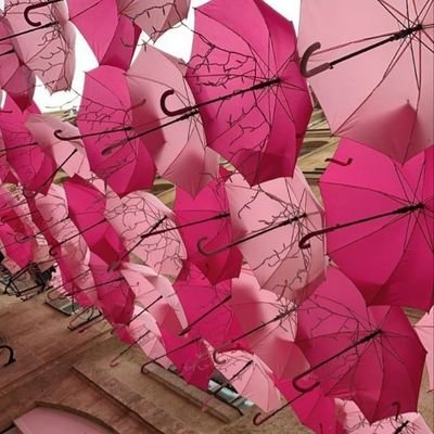 litswd10's profile picture. 