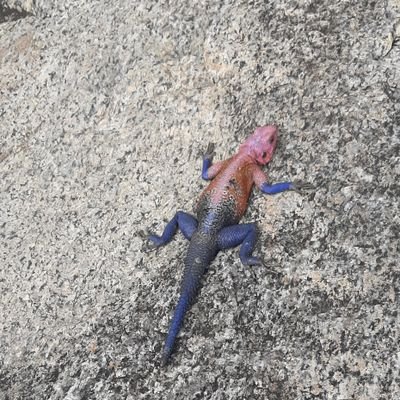 mfagiaji's profile picture. 😎