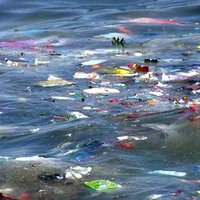OceanPlasticOP (@plastic_op) 's Twitter Profile