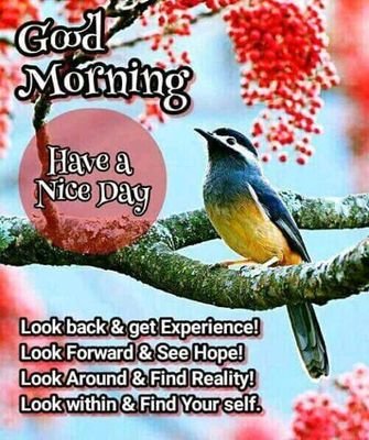 PhilipKalatya1's profile picture. work hard or die poor!!man u