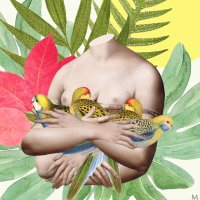 Marta de los Pájaros (@mdelospajaros) 's Twitter Profile