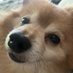 🎶 Doo-Dah Man 🎶 (@edsterry) Twitter profile photo 🎶 Doo-Dah Man 🎶 (@edsterry) Twitter profile photo