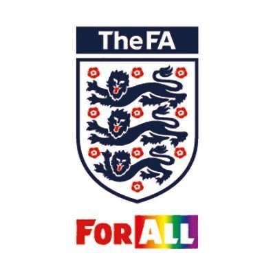 The FA National Youth Council