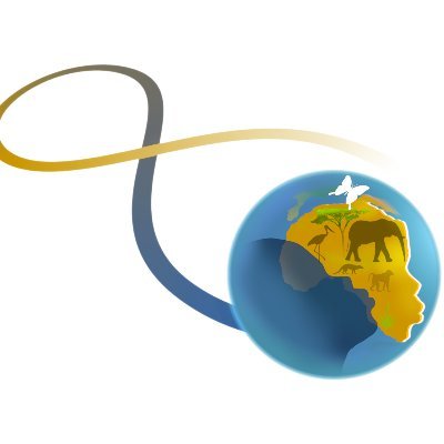 International Research Lab REHABS Profile