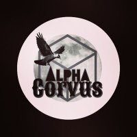 Alpha Corvus (@alphacorvusband) 's Twitter Profile