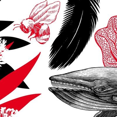 florent guignard Profile