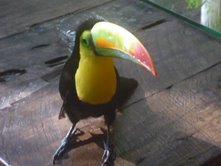 podestad's profile picture. Program Officer, Latin America & Caribbean, National Endowment for Democracy. Recovering journalist (Washington Post; 4 other dailies) Tweets = personal views.