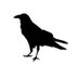 Poe Boy Publishing (@boypublishing) Twitter profile photo Poe Boy Publishing (@boypublishing) Twitter profile photo