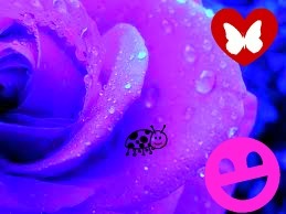 hollyg1997's profile picture. 