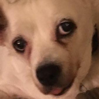 tim_possibull's profile picture. Absolutely nothing makes me special. I think that makes me special.