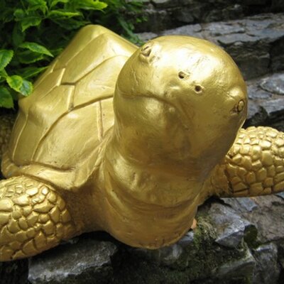 RvdMije's profile image
