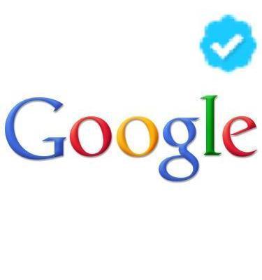 The Google Network is a large group of websites and other products, such as email programs and blogs, who have partnered with Google to display AdWords ads.