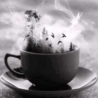 عابر ... (@_3abr_1) 's Twitter Profile