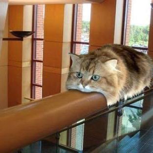 orangedaysafter's profile picture. 東海圏在住、医師、アラサー、そろそろ結婚しないという焦りからTwitterで婚活垢をひたすら追いかけています