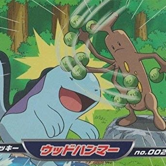 krookodile___'s profile picture. 聖カタ人社2年