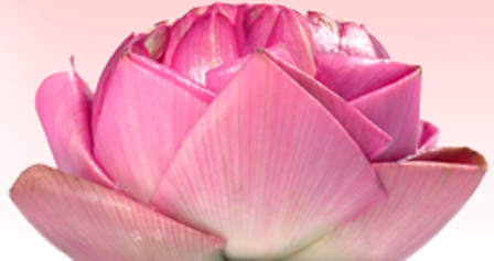 SachchaSaude's profile picture. Clínica de Medicina Integrada (Ocidental, Acupuntura e Ayurveda) com atuação no corpo-mente-espírito. 
Cursos, Atendimentos e Centro de Pesquisa em Ayurveda.