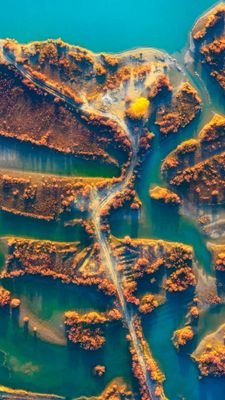 LnSyQbj9pr7s0Sk's profile picture. 