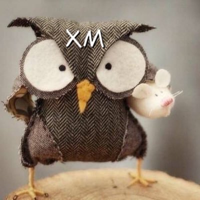 wenchyzhu's profile picture. Code The Future.