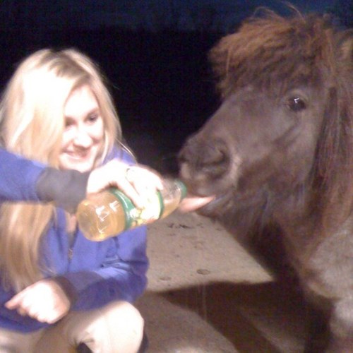 whitneyboone's profile picture. 