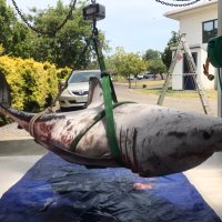 odette howarth (@odettehowarth) 's Twitter Profile