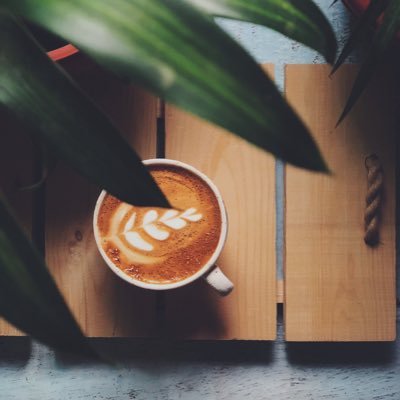 somiya_mk's profile picture. Art | Books | Midnight | Plants