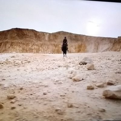 GG15890's profile picture. Love my country. America First!Truth, honesty.  Conservative.  🇺🇸🚜🐎 Love animals, hate people who litter! 🚫DM