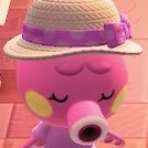 〚 noah ✿ 22 ✿ white 〛
✖ not spoiler free! ✖
✩ animal crossing ✩ 3h ✩ horror ✩ activism ✩ sadposts ✩ spirituality ✩ pokemon ✩ jojos ✩ dr ✩ 18+ mutuals ask nsfw ✩