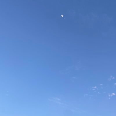 JaneAtGGN's profile picture. 