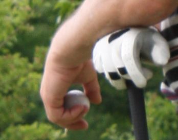 hcp013's profile picture. 