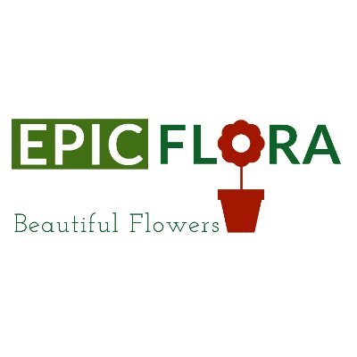 EpicFlora is a team of specialists who will provide bouquets and floral arrangements for any event in your life through our online flower shop.