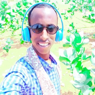 DarandiY's profile picture. darandi