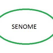 senomerio's profile picture. Empresa privada, com o objetivo de comercializar e participar de bens e serviços para os mercados da Indústria Naval, Offshore e Transporte Marítimo.
